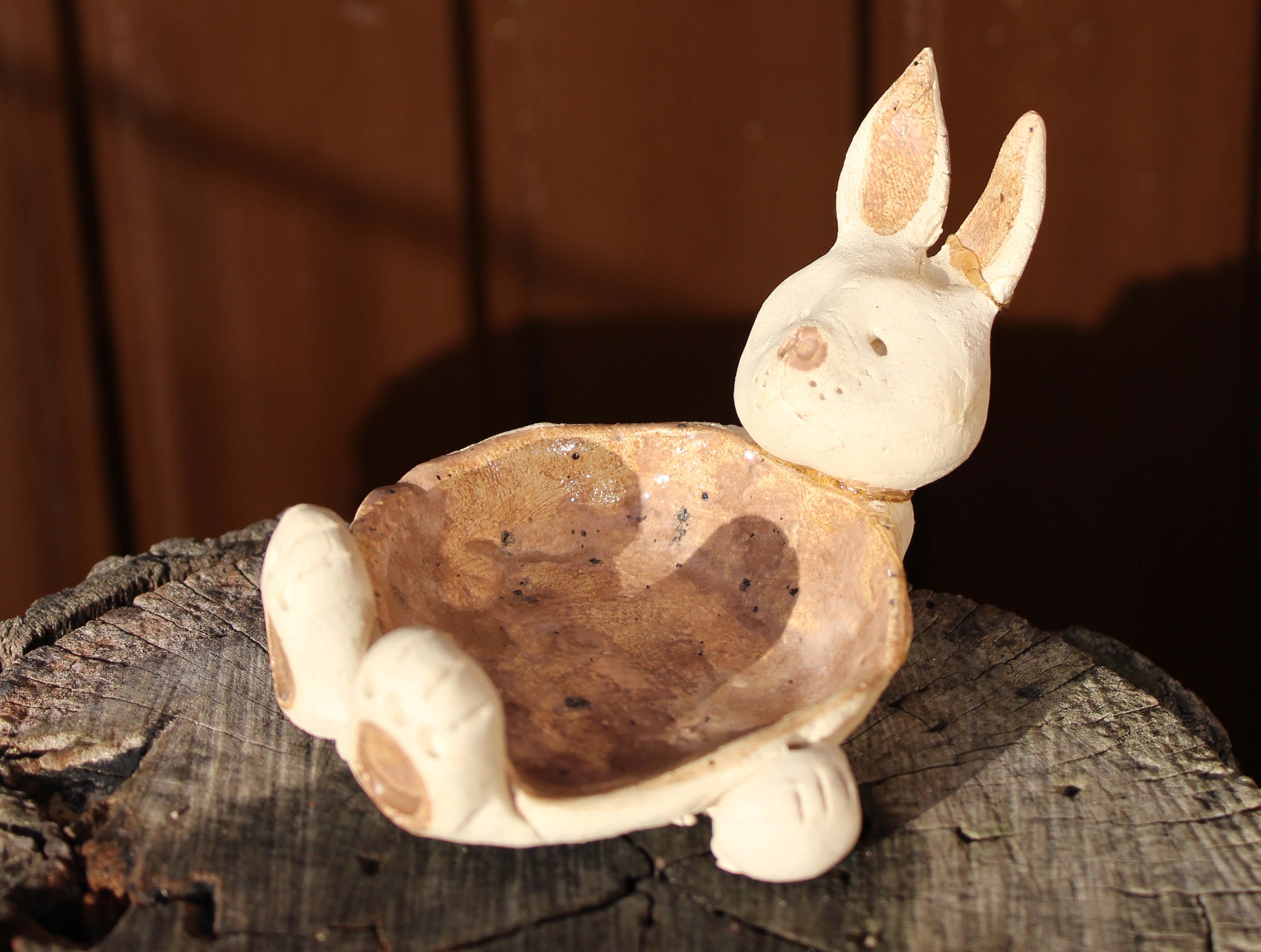 Hase